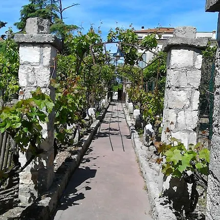L'aranceto Di Giorgia Bed & Breakfast