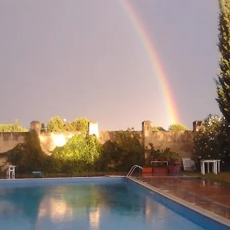 L'aranceto Di Giorgia Trani