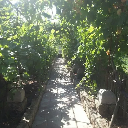 L'aranceto Di Giorgia 3*