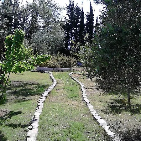 L'aranceto Di Giorgia