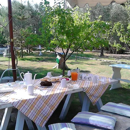 L'aranceto Di Giorgia Bed & Breakfast
