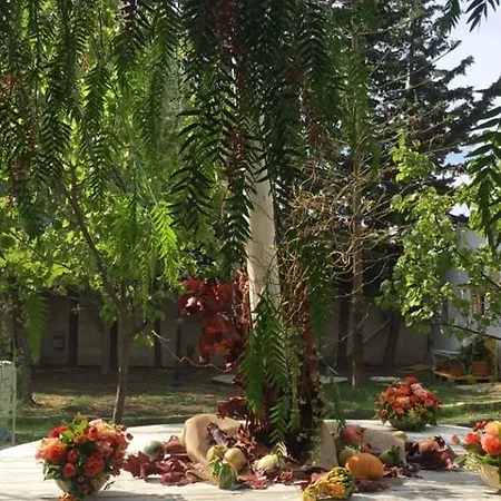 L'aranceto Di Giorgia 3*