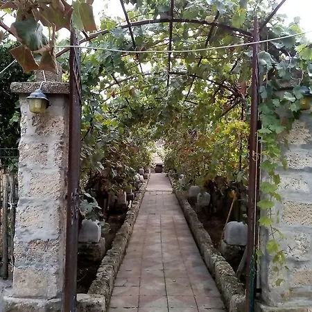 L'aranceto Di Giorgia Bed & Breakfast Trani
