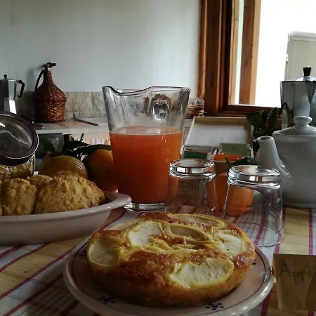 Bed & Breakfast L'aranceto Di Giorgia