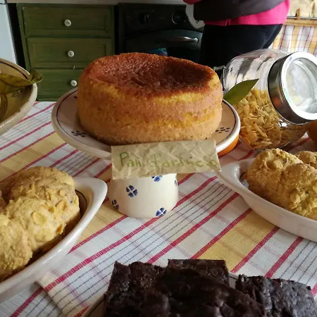 L'aranceto Di Giorgia Bed & Breakfast